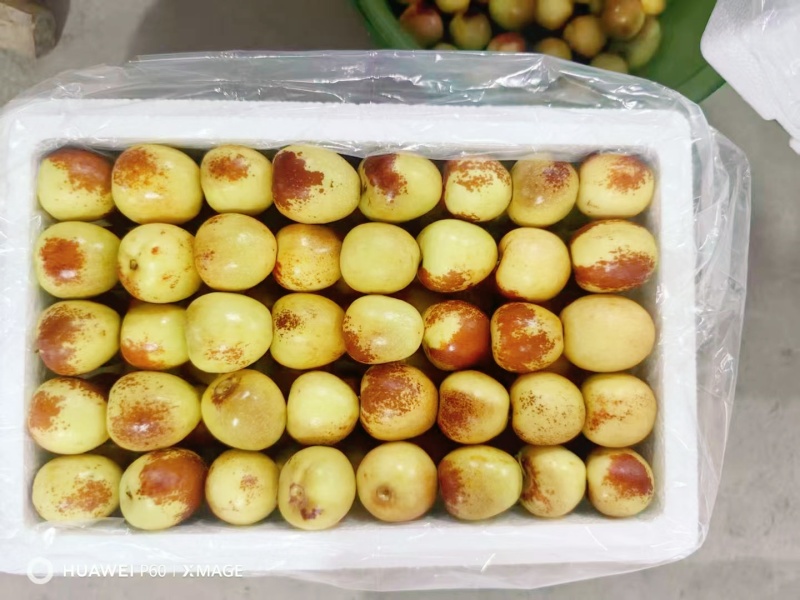 大荔冬枣5斤礼盒装特级果