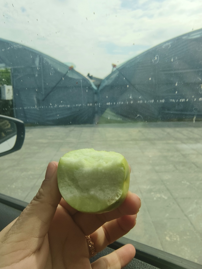 大荔冬枣5斤礼盒装特级果