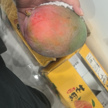 芒果