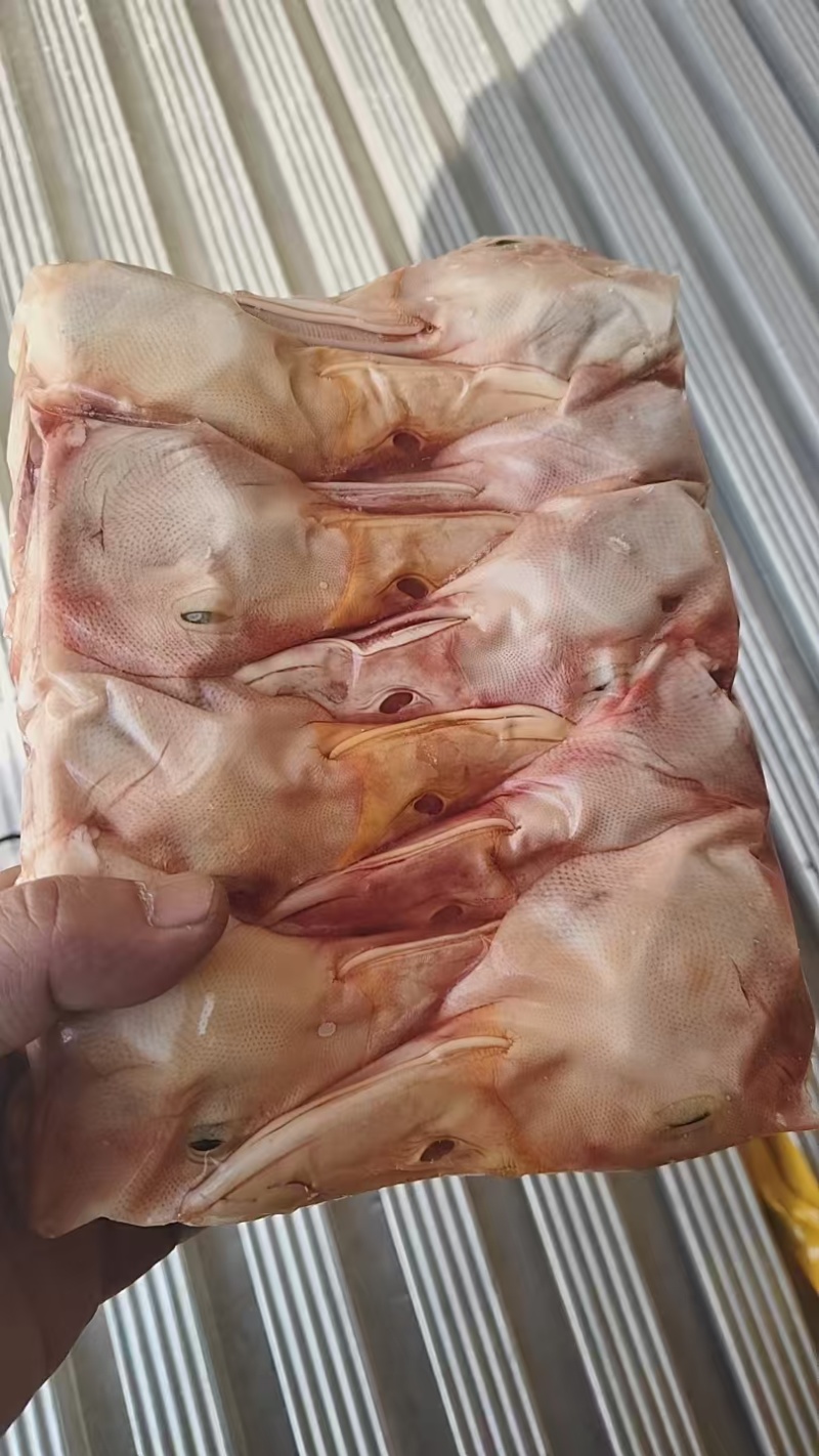 小包装二级鸭头4吨