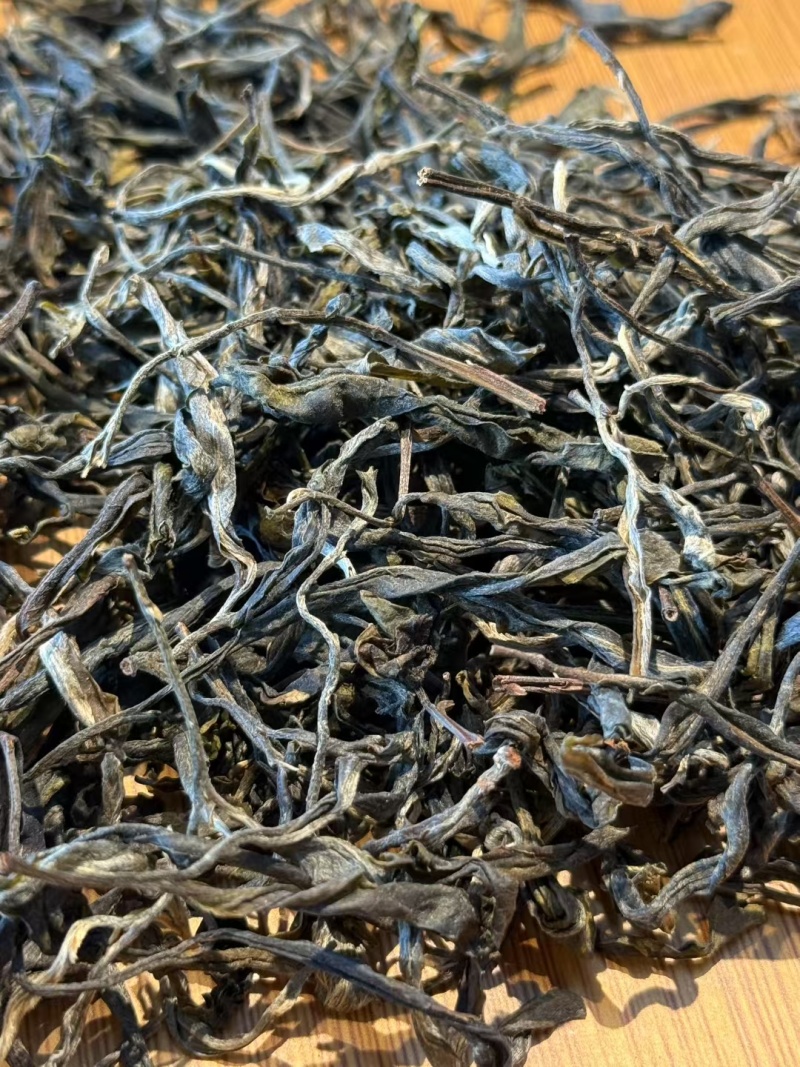 云南省临沧古树大叶茶