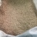 浙江白芝麻干度80%一90