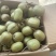 红心猕猴桃