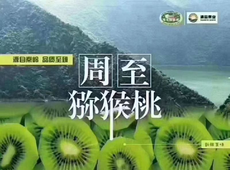 周至翠香猕猴桃