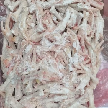 长鸡脚鸡爪子屠宰检疫