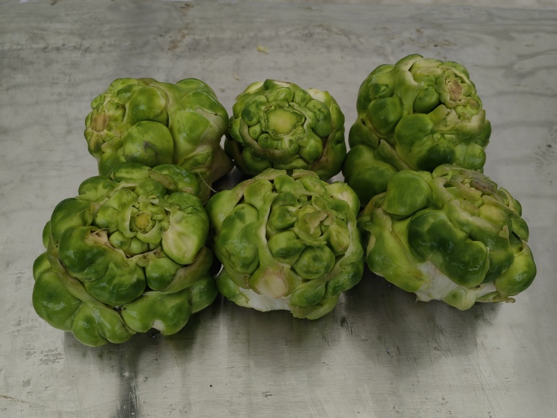涪陵鲜榨菜片