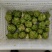 涪陵鲜榨菜片
