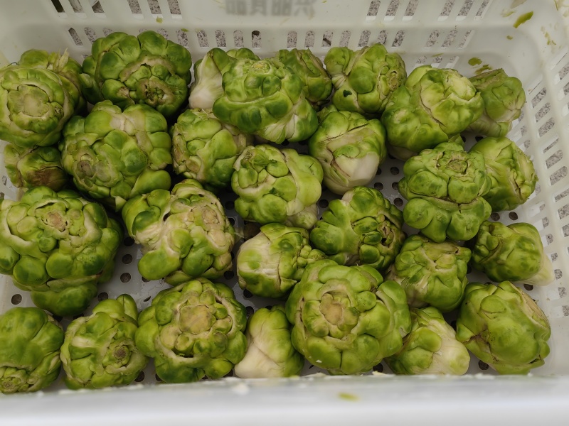 涪陵鲜榨菜片