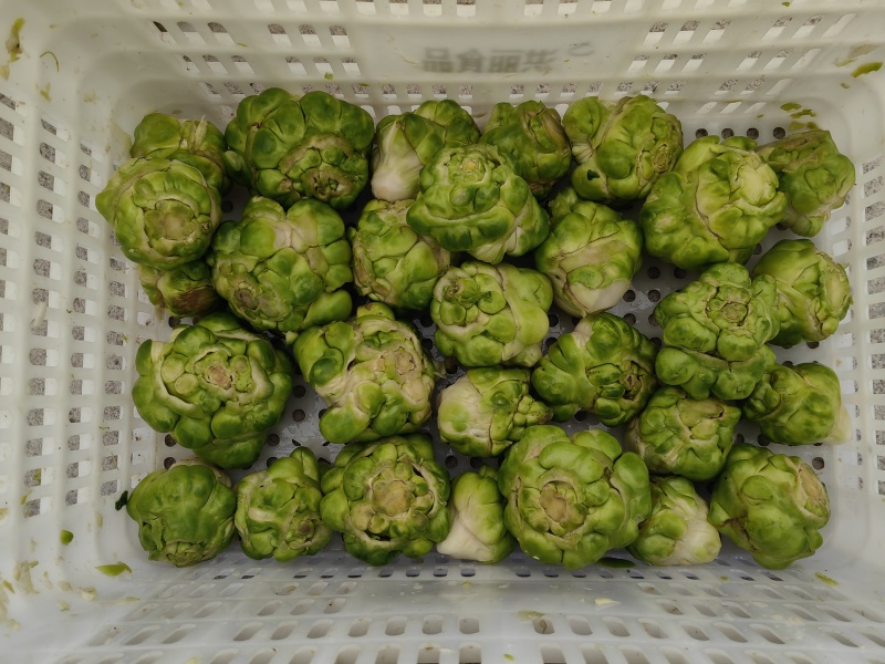 涪陵鲜榨菜片