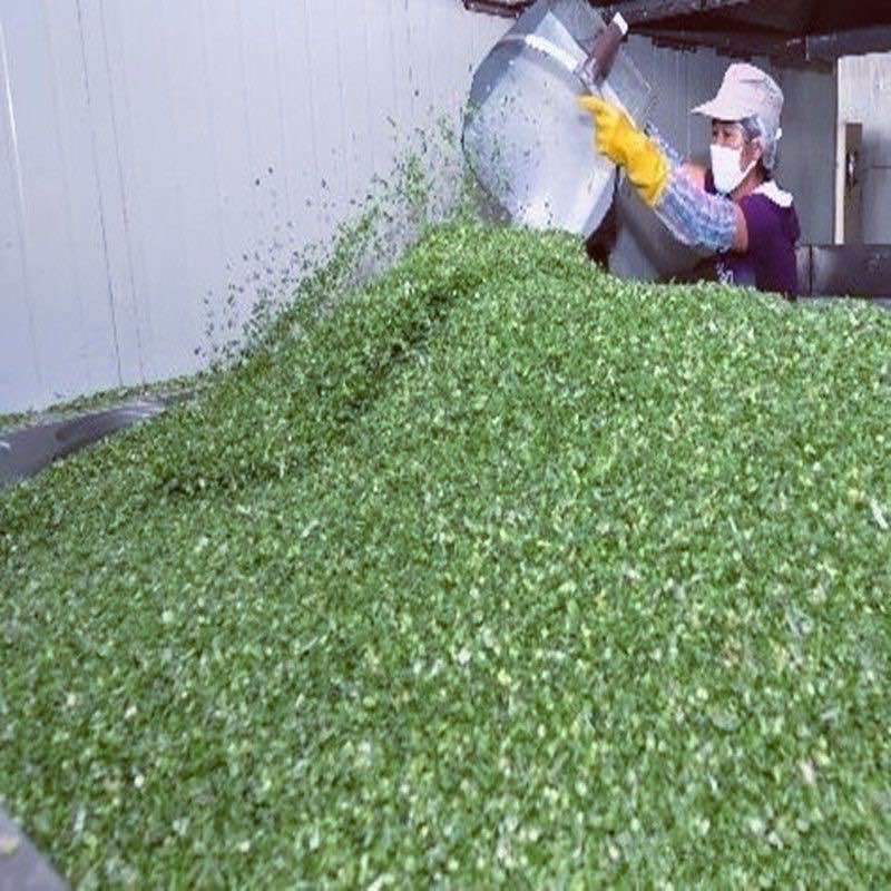 脱水香葱片香葱段小米葱各种规格支持定制