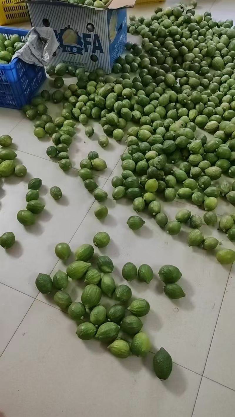 香水柠檬