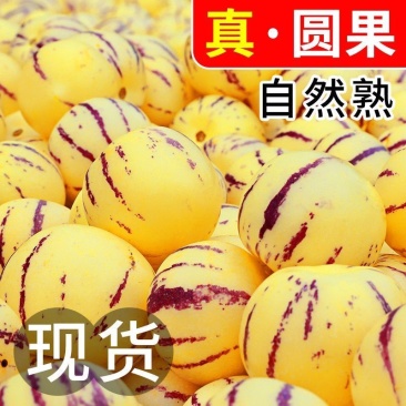 云南石林人参果中果50-80克
