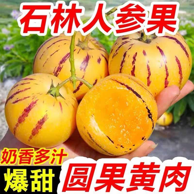 云南石林人参果中果50-80克