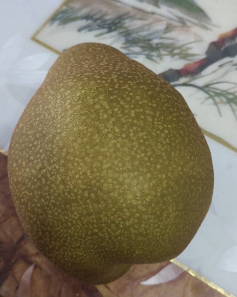 苍溪雪梨