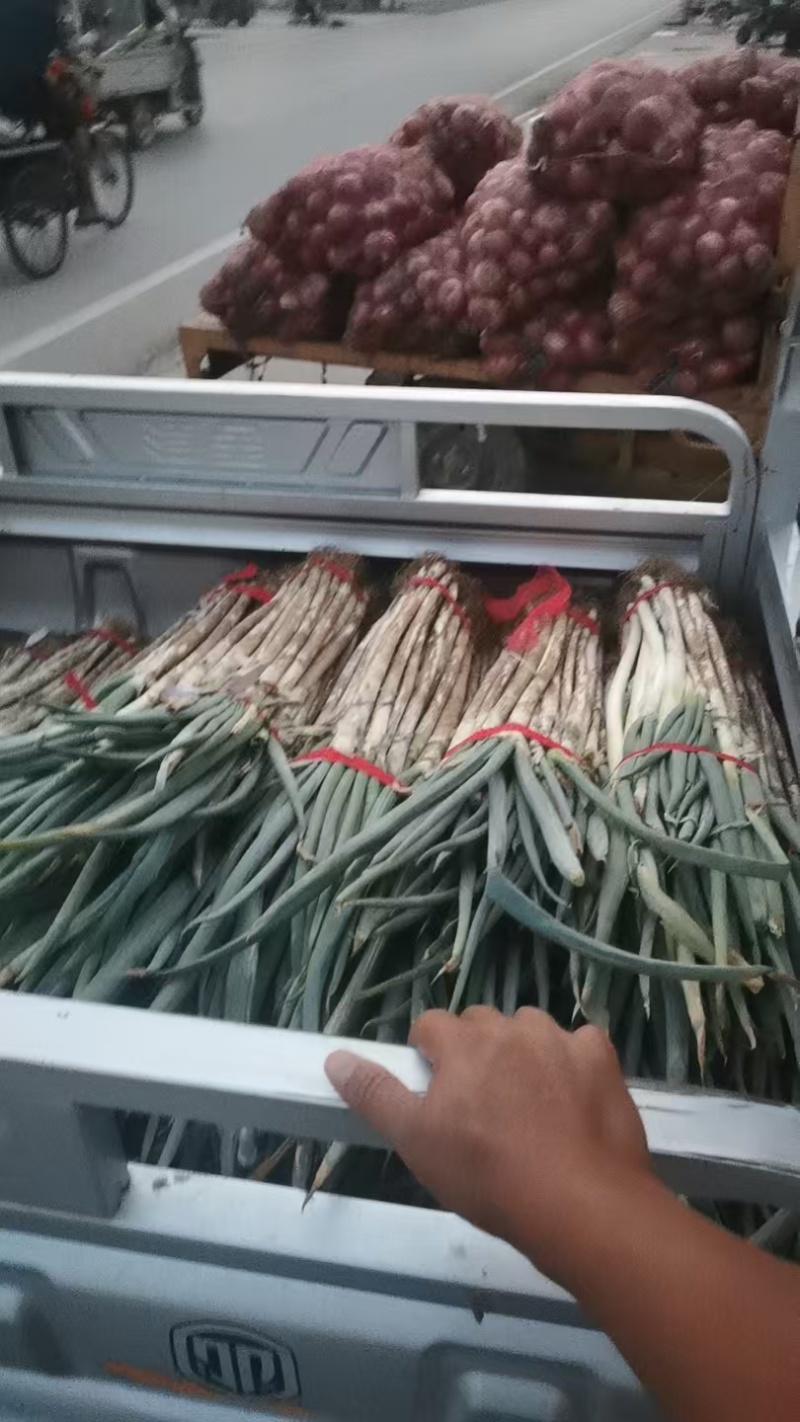 产地直接发货