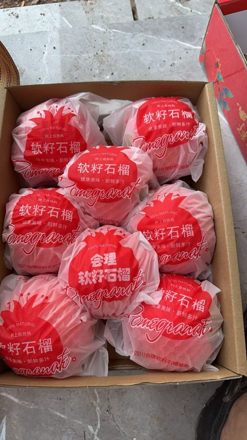 图尼斯软籽石榴