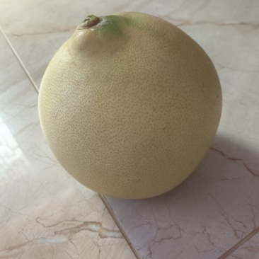琯溪蜜柚