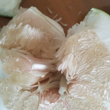 福建平和琯溪蜜柚