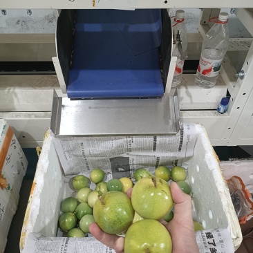 市场果电商果挖浆果鲜果酱全规格单规果