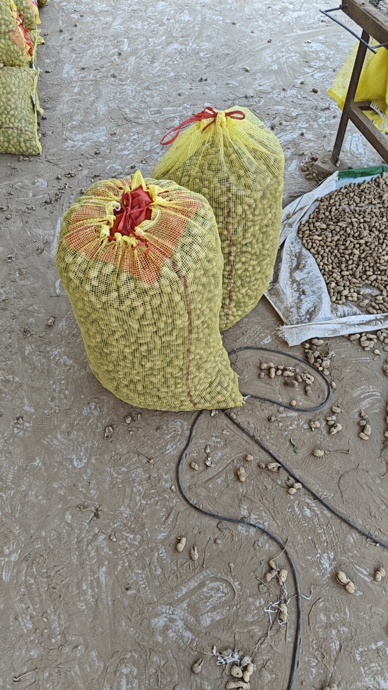 鲜花生