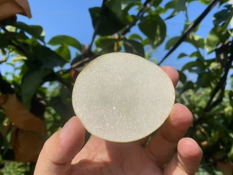 莱阳秋月自产自销，一件代发，量大货好，可开发票
