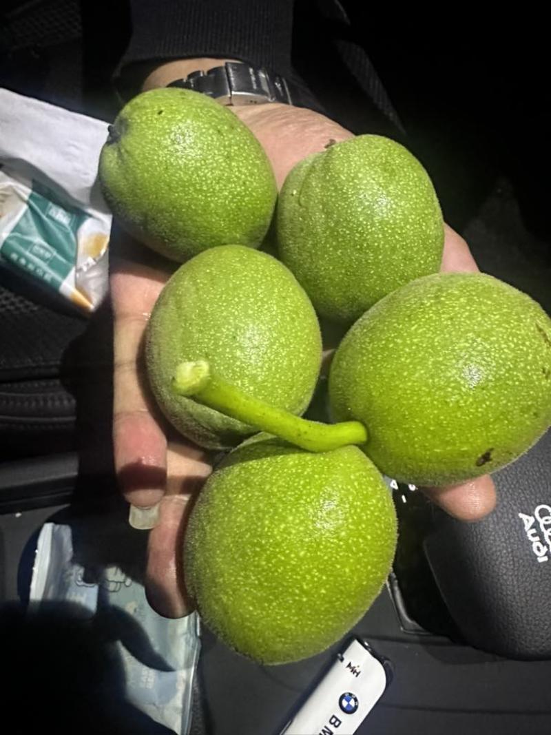 青皮核桃