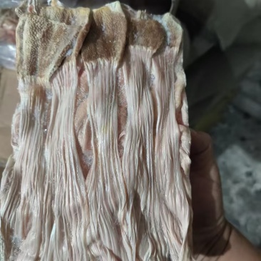 厂家麻鸭食带30吨