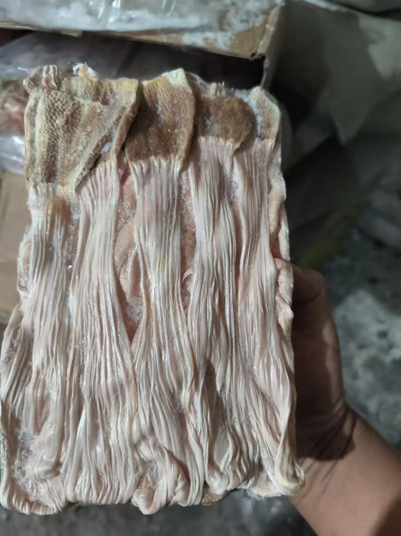 厂家麻鸭食带30吨