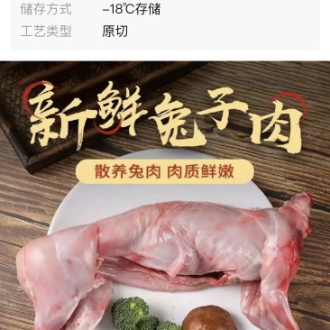 兔子