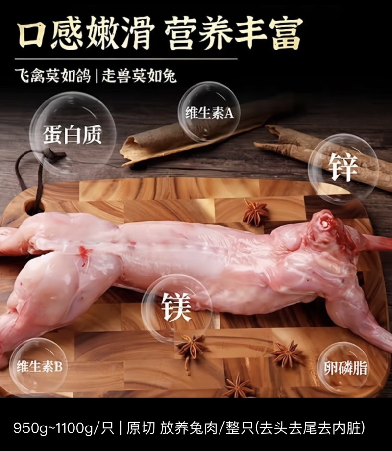 兔子