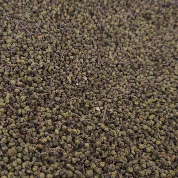 吴茱萸