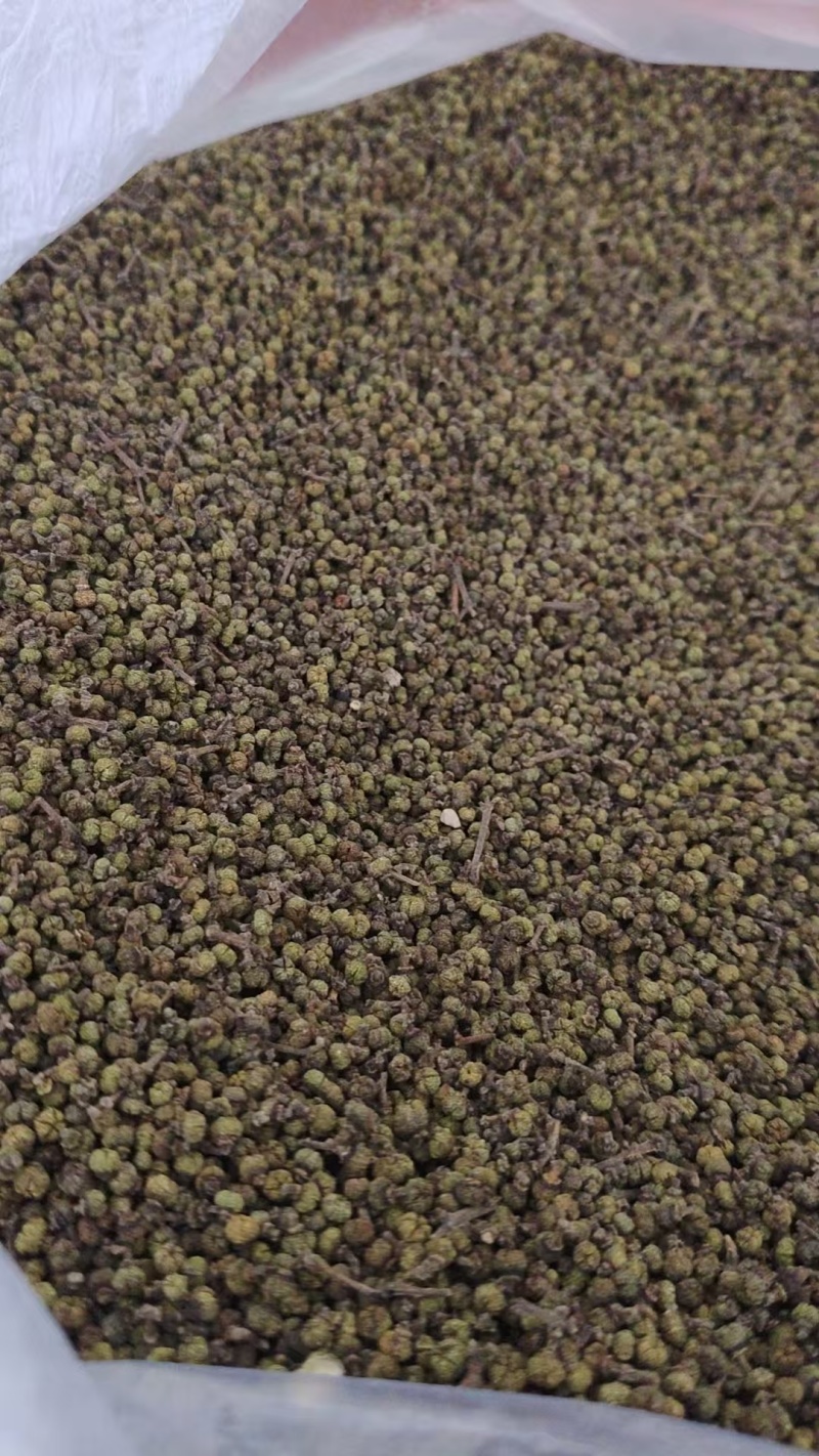 吴茱萸