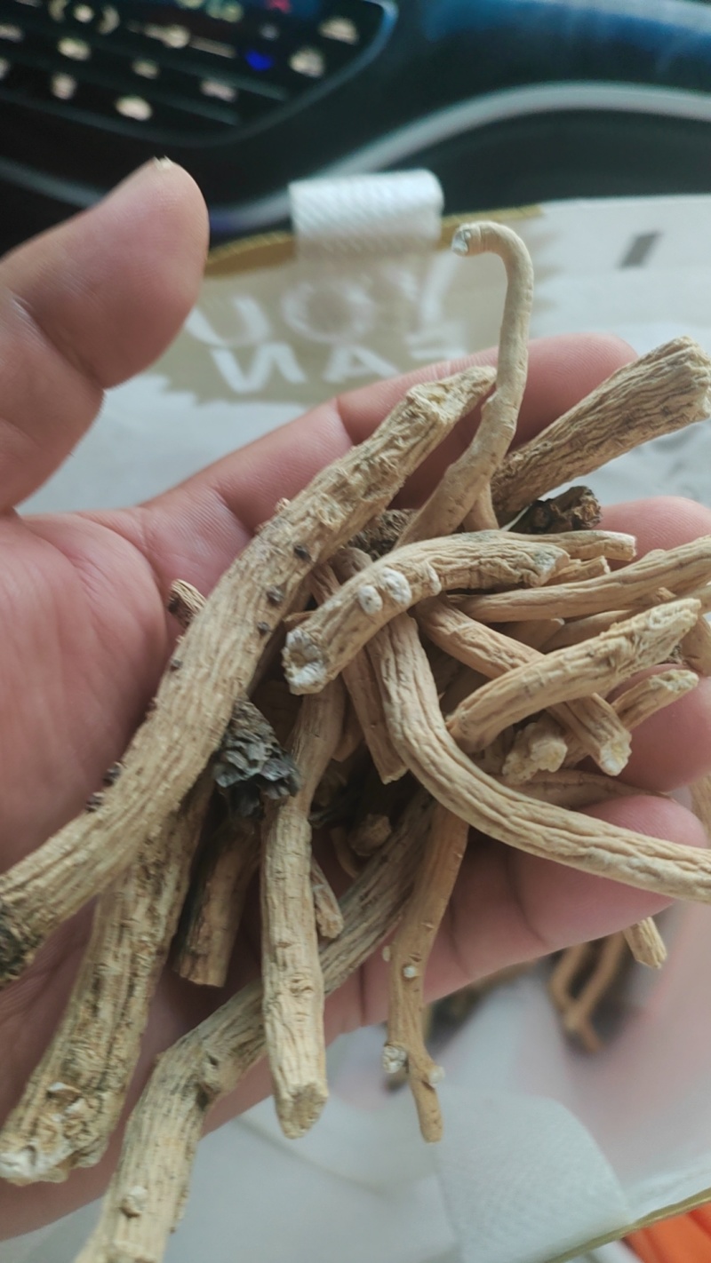 板蓝根通货