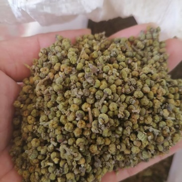 江西吴茱萸中花