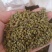 江西吴茱萸中花