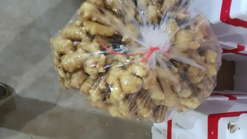生姜批发
