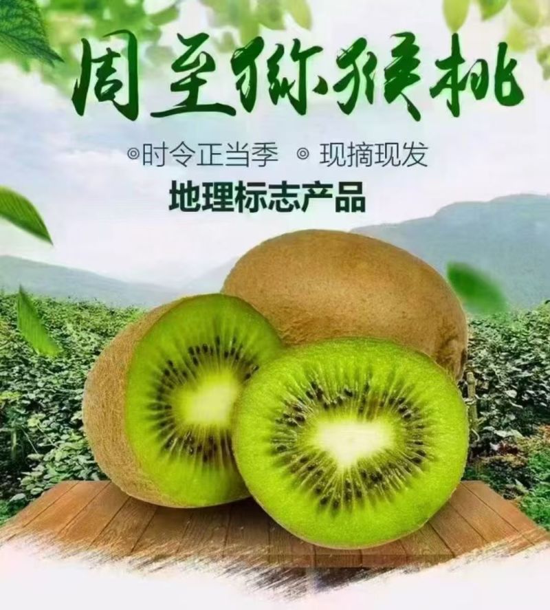 陕西周至翠香猕猴桃
