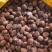 板栗🌰一5832一一333七