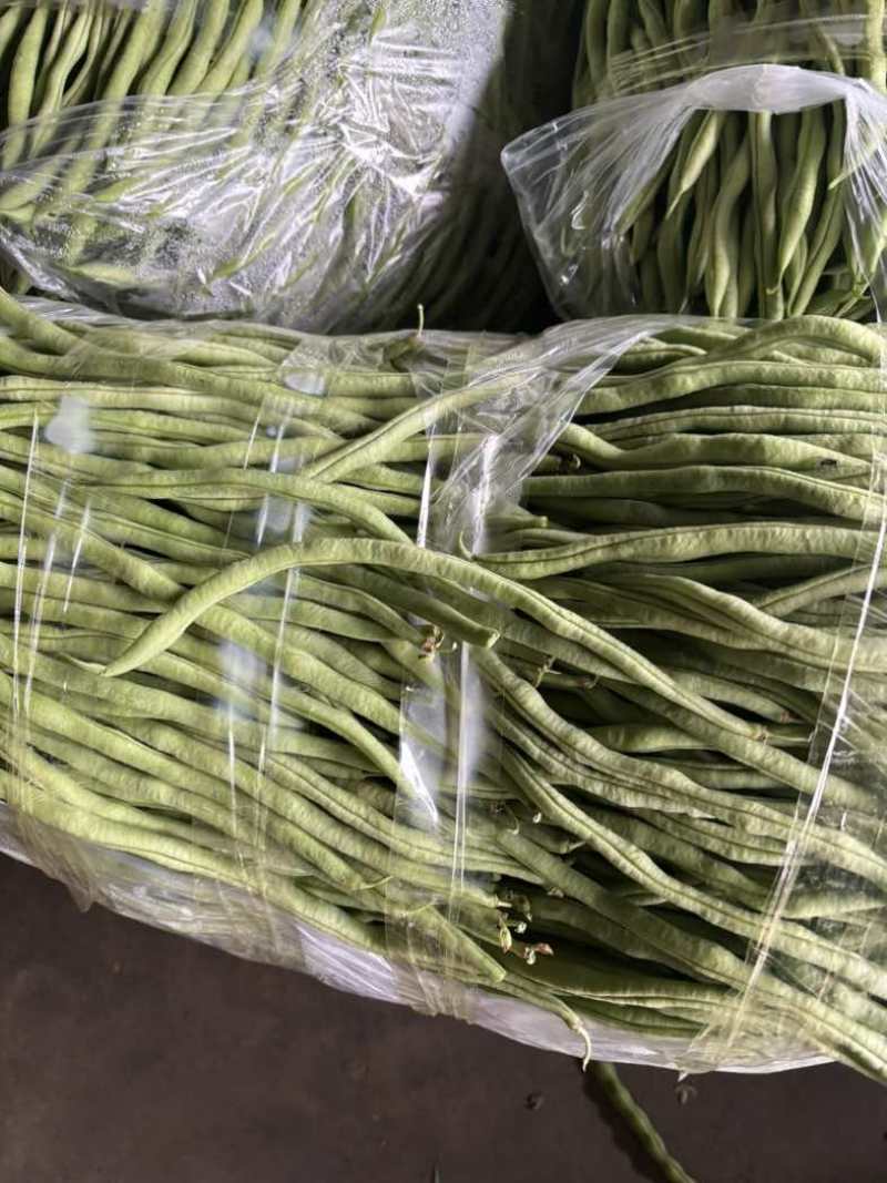 无筋豆