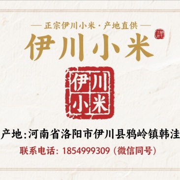 伊川小米