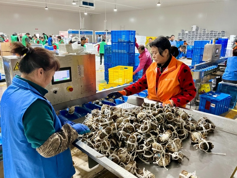12块起原产地全国发货