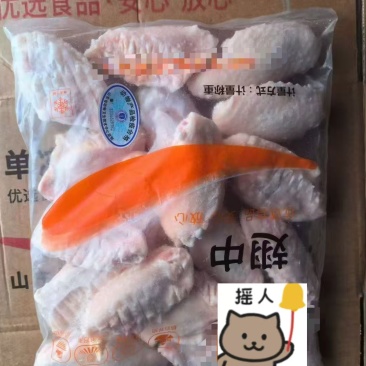 翅中