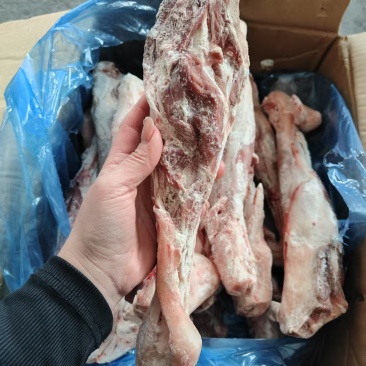 羊小腿