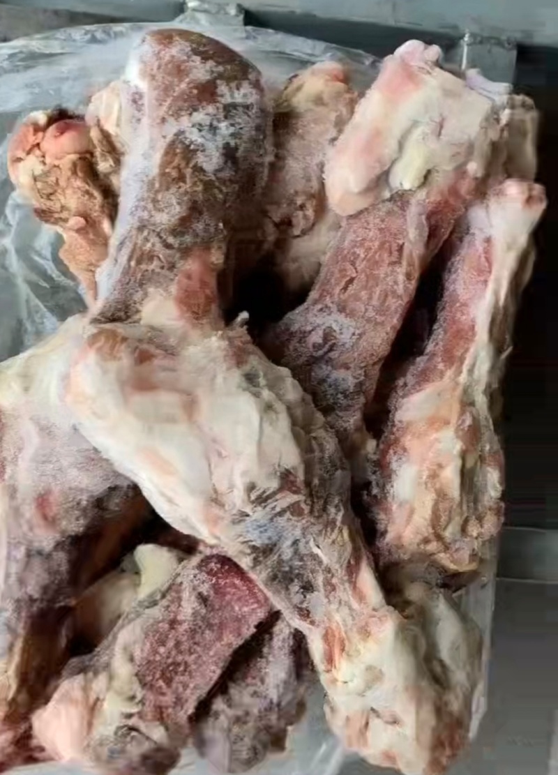 大日期多肉后腿骨，库存30吨临沂