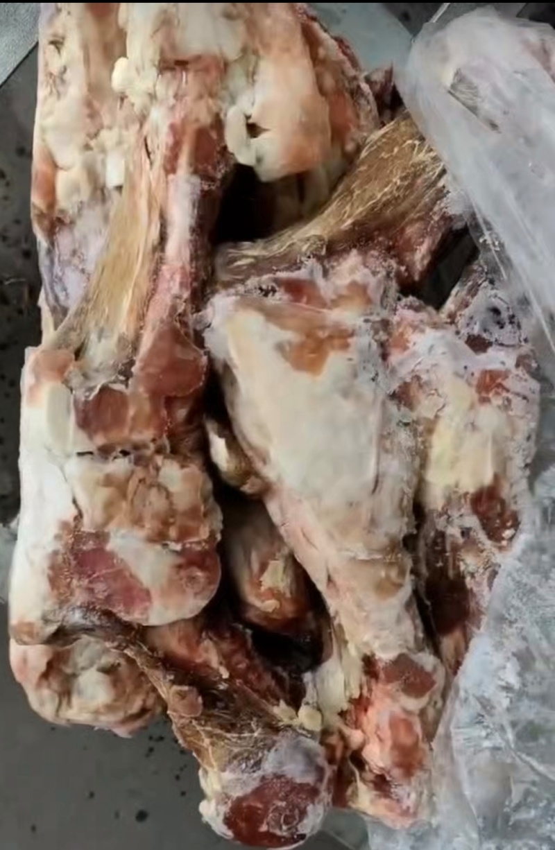 大日期多肉后腿骨，库存30吨临沂