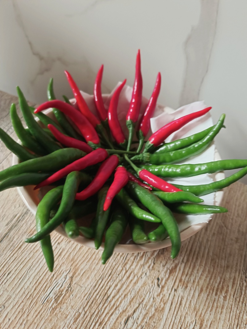 鲜辣椒🌶️