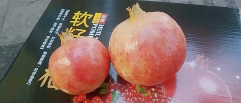 云南突尼斯软籽石榴