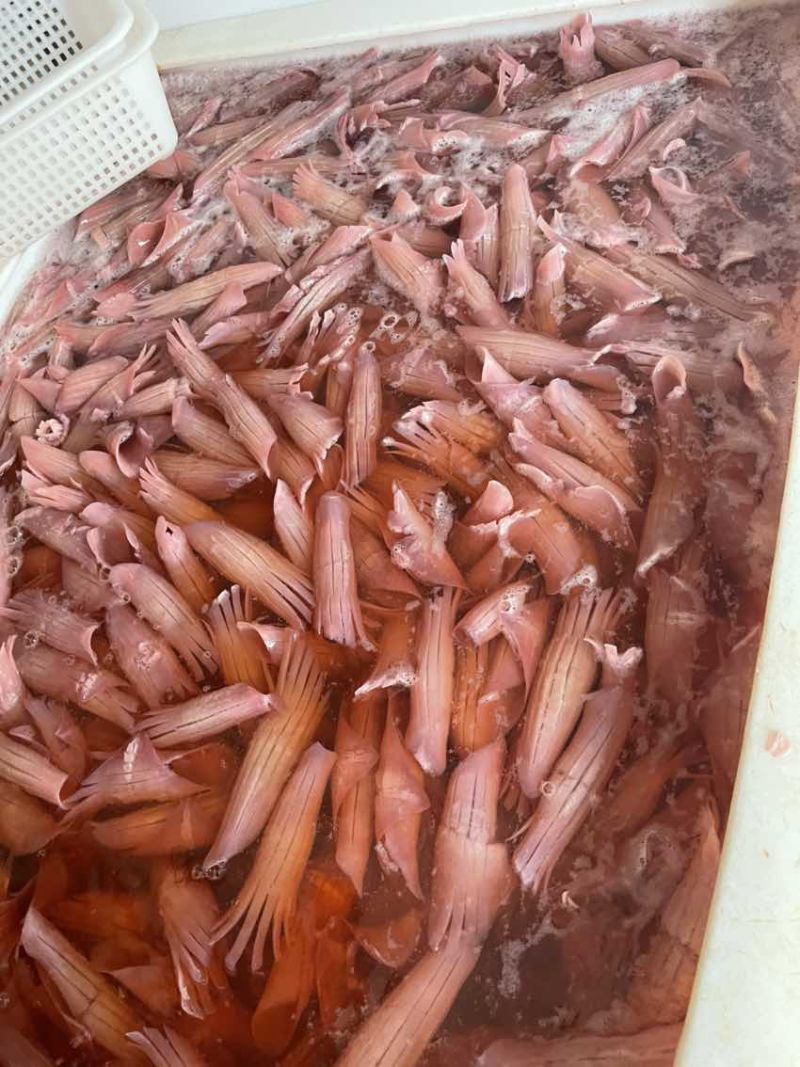黑千层火锅串串冒菜自助食材