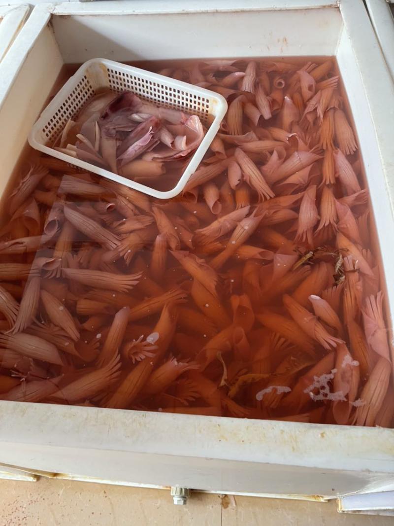 黑千层火锅串串冒菜自助食材