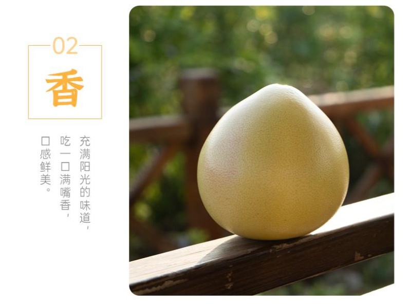 蜜柚，支持一件代发